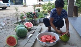 娱乐吃瓜酱花期,揭秘明星幕后故事